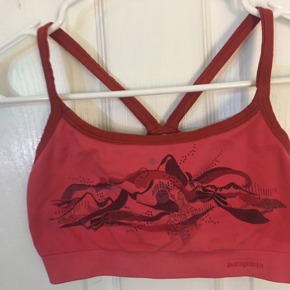 Patagonia Sports Bra